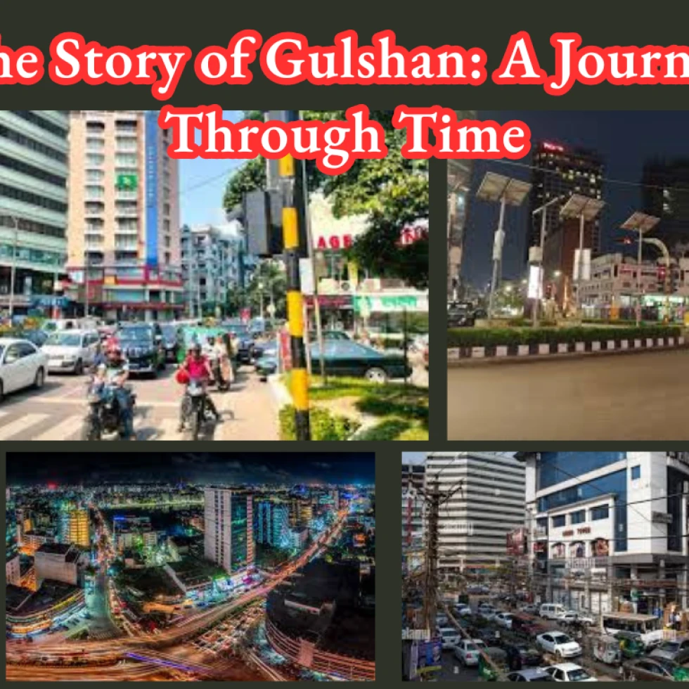 Best interior design company in Gulshan